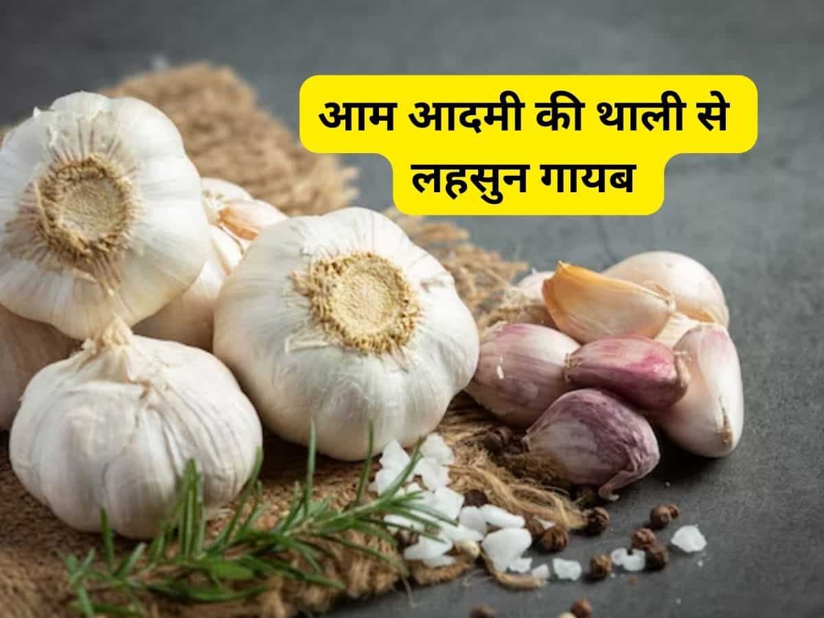 Garlic Price Hike: लहसुन की बढ़ती कीमतों ने बिगाड़ा सब्जी का तड़का, मुंबई में ₹600 किलो हुआ भाव