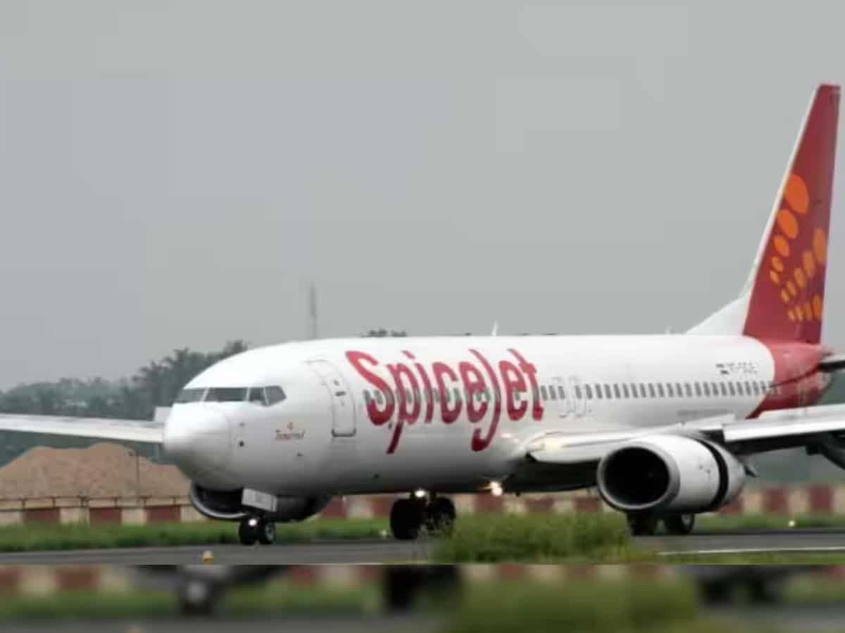 GoFirst को खरीदने के लिए SpiceJet के अजय सिंह और Busy Bee Airways ने मिलकर लगाई बोली, स्टॉक 12% उछला