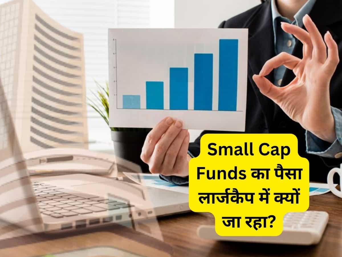 Small Cap Funds के निवेशक जरूर पढ़ें! लार्जकैप स्टॉक्स में जा रहा आपका पैसा; जानिए क्यों