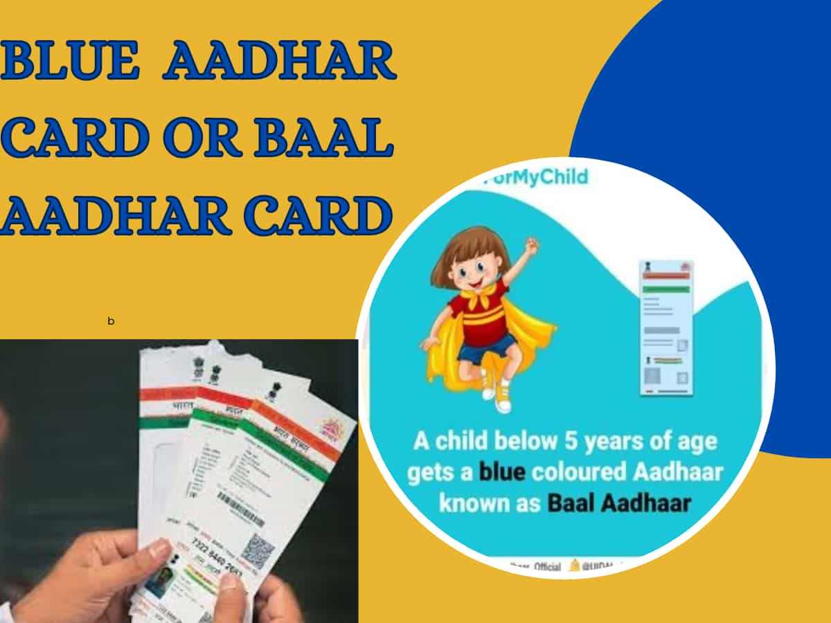 Blue Aadhar Card: क्या होता है ब्लू आधार कार्ड? किन डॉक्यूमेंट्स की होगी जरूरत, जानें आवेदन प्रक्रिया