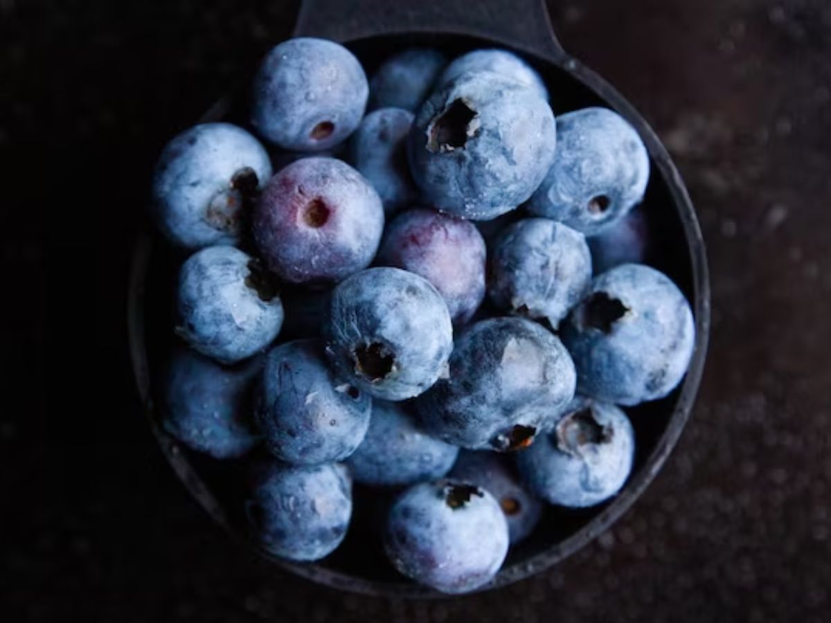 लंबे रेशे वाले Cotton को आयात शुल्क से छूट मिली, ब्लूबेरी, क्रैनबेरी पर ड्यूटी में कटौती