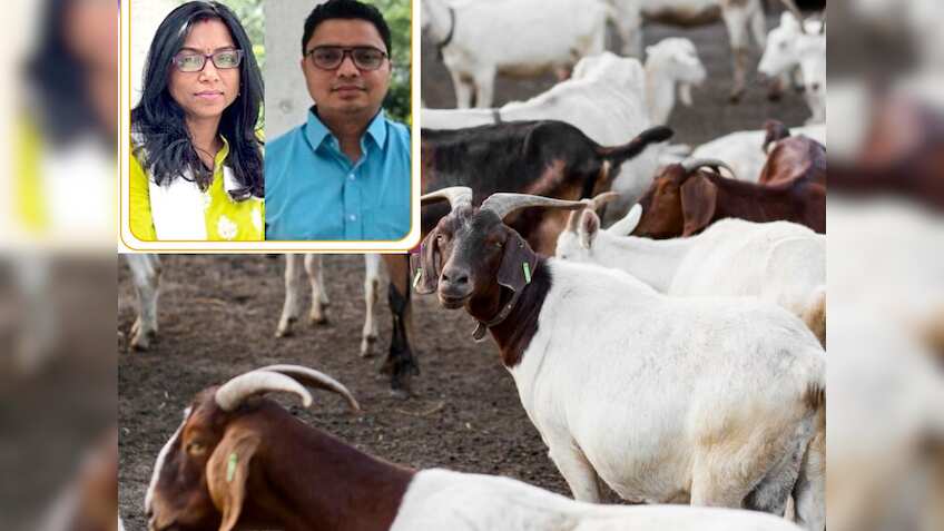 हाई सैलरी वाली नौकरी छोड़ गांव लौटा दंपति, खोला Goat Bank, PM मोदी ने ...
