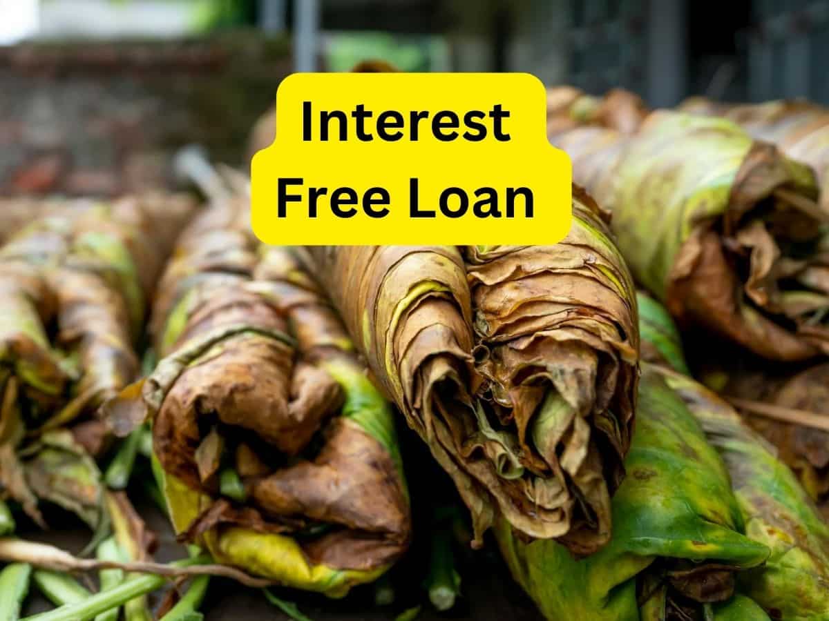 सरकार का बड़ा फैसला, इन किसानों को मिलेगा Interest Free Loan