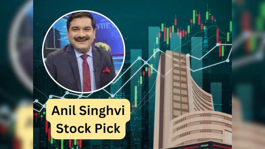 अनिल सिंघवी ने इस स्‍मॉलकैप स्‍टॉक में दी BUY की सलाह, कहा- पोर्टफोलियो में रख लें; 1-2 साल में ₹600 टच करेगा भाव  