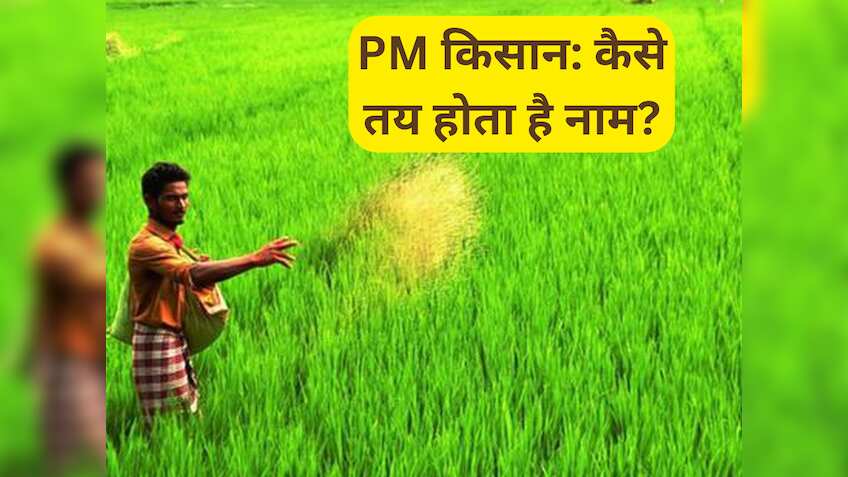 PM Kisan: सालाना ₹6000 के लिए कैसे शॉर्टलिस्ट होता है किसानों का नाम? 16वीं किस्त का पैसा चाहिए तो जानें पूरा प्रोसेस