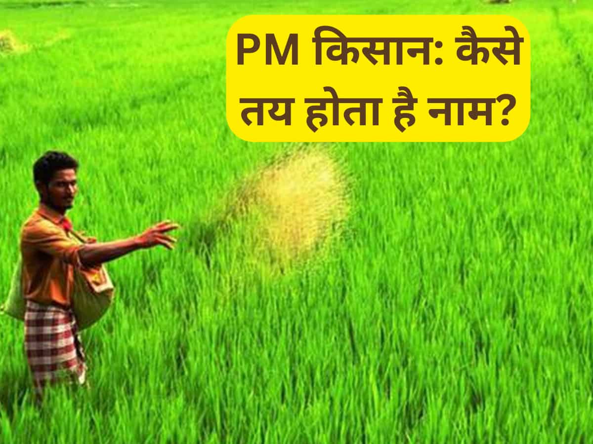 PM Kisan: सालाना ₹6000 के लिए कैसे शॉर्टलिस्ट होता है किसानों का नाम? 16वीं किस्त का पैसा चाहिए तो जानें पूरा प्रोसेस