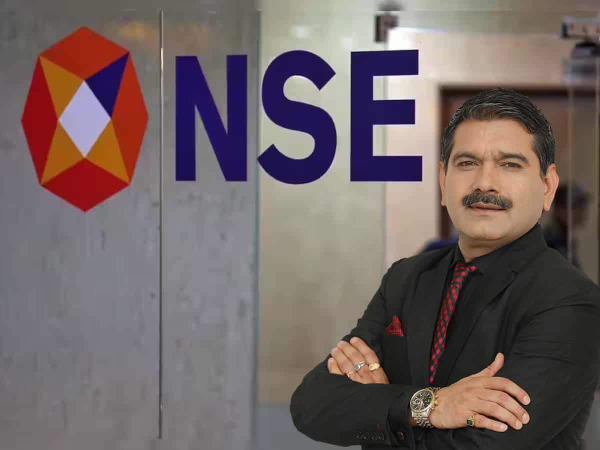 NSE इंडेक्स में बदलाव को लेकर अहम फैसला आज, अनिल सिंघवी ने इस शेयर पर जताया भरोसा, कहा- पक्का खरीदें
