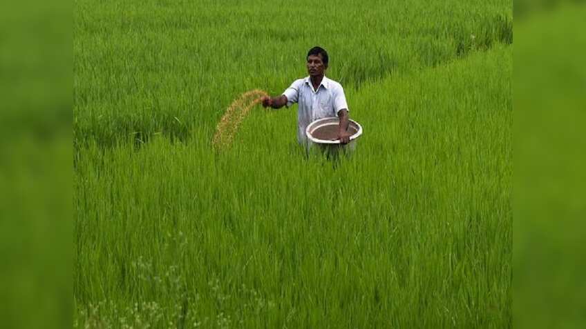 खरीफ सीजन के लिए मोदी सरकार की किसानों को सौगात, 24 हजार करोड़ रुपए की खाद सब्सिडी को दी मंजूरी
