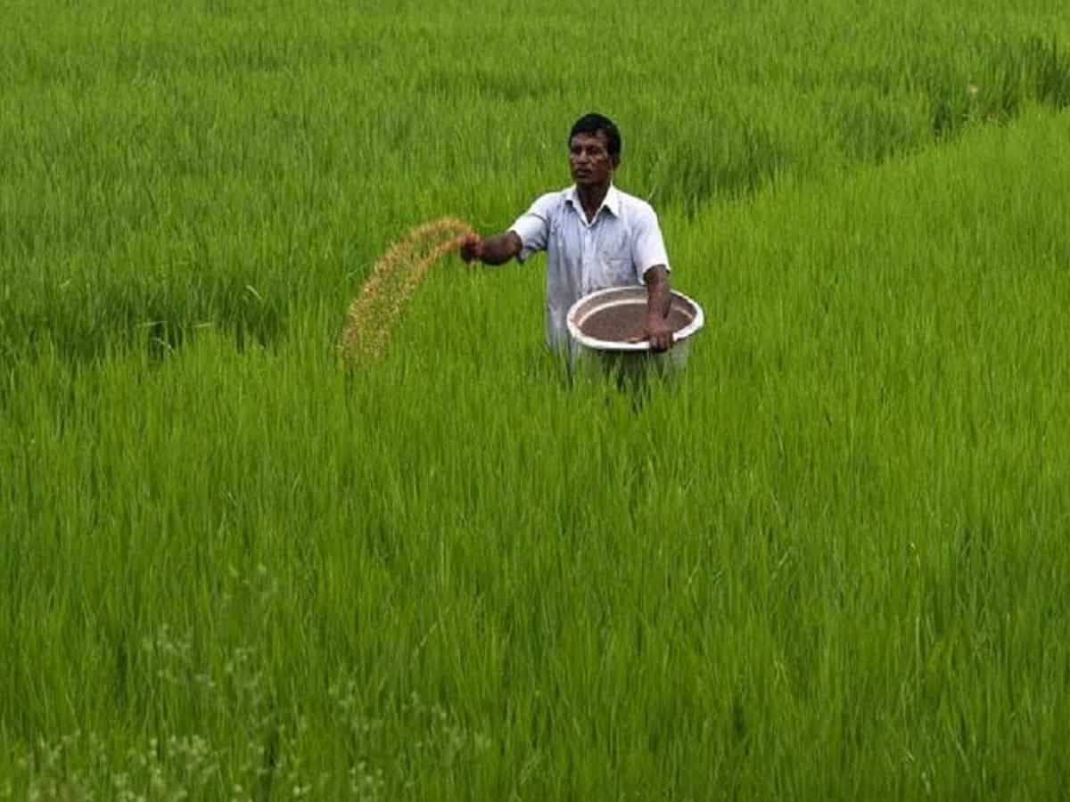 खरीफ सीजन के लिए मोदी सरकार की किसानों को सौगात, 24 हजार करोड़ रुपए की खाद सब्सिडी को दी मंजूरी