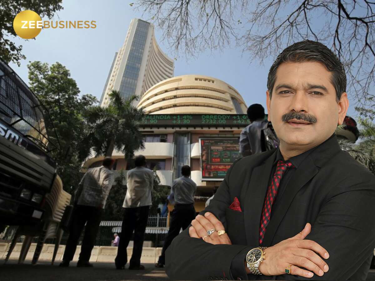 बड़े उतार-चढ़ाव वाली है मार्च सीरीज, मार्केट गुरु अनिल सिंघवी ने कहा - चुनावी साल में बाजार में तेजी का रुझान