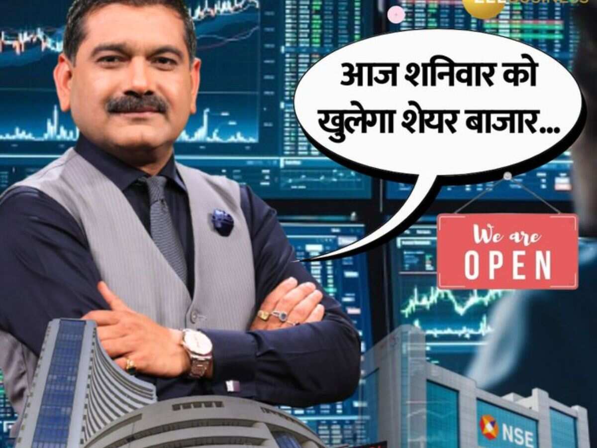 आज शनिवार को भी खुलेगा बाजार, मार्केट गुरु अनिल सिंघवी ने कहा- मार्च में लार्जकैप शेयरों पर करें फोकस