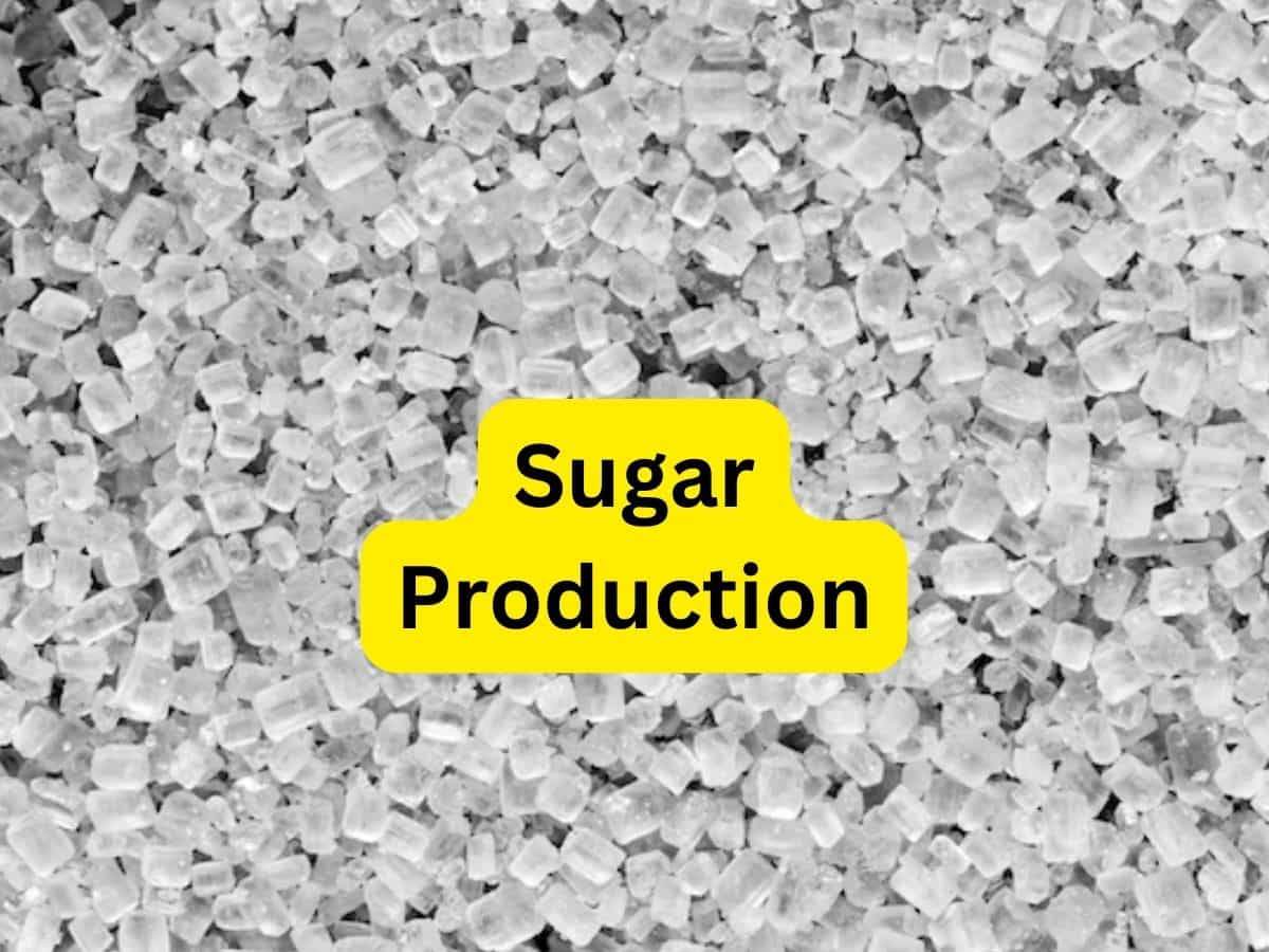 Sugar Production पर ISMA का आया अपडेट,  अब तक उत्पादन 1.19% घटकर 2 करोड़ 55.3 लाख टन रहा