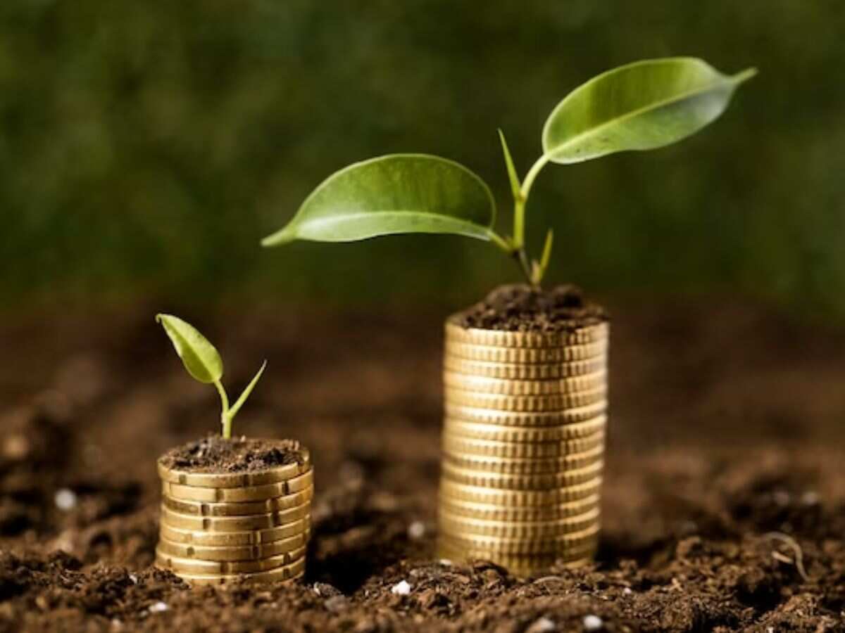 Mutual Funds निवेशकों के लिए बड़ी खबर, स्मॉल, मिड कैप फंडों से जुड़े स्ट्रेस के बारे में बताएंगे फंड मैनेजर्स