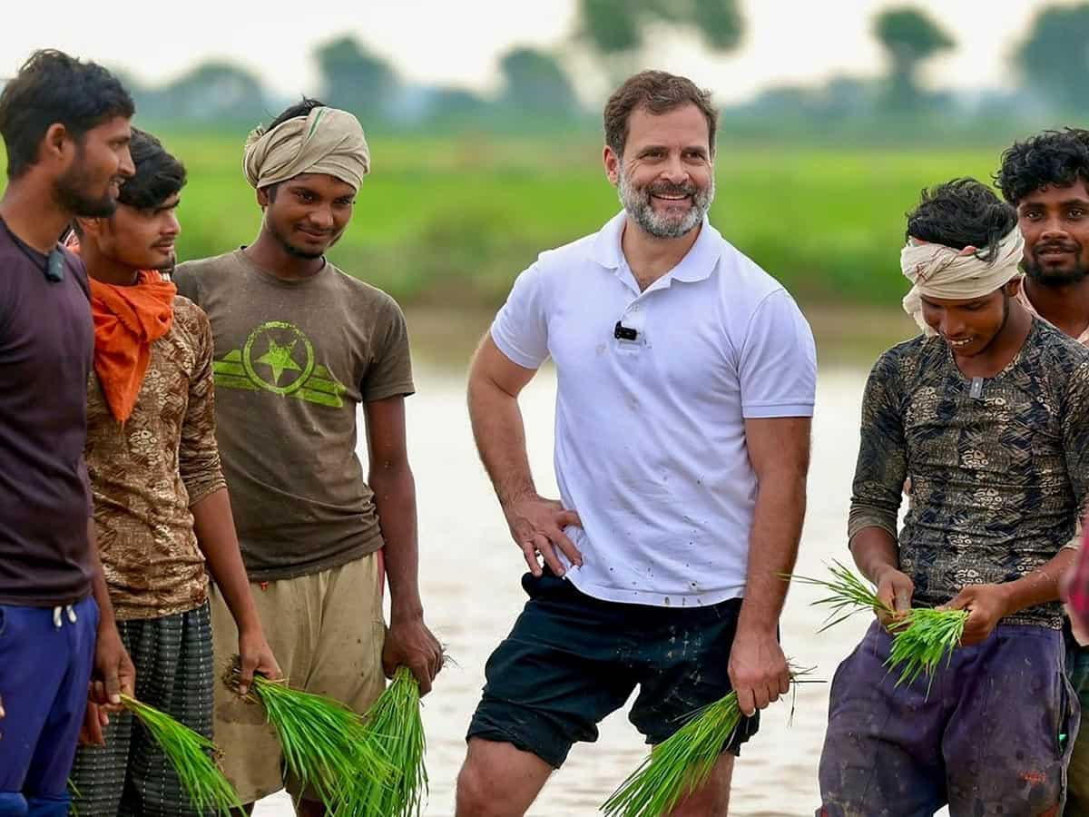 मोदी की गारंटी के जवाब में राहुल गांधी की किसानों को पांच गारंटी, MSP को कानूनी दर्जा, बनेगा ‘कृषि ऋण माफी आयोग’