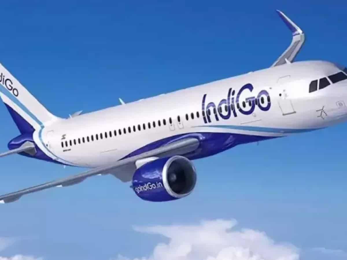 फरवरी में 1.26 करोड़ लोगों ने हवाई सफर किया, IndiGo का मार्केट शेयर 60% से ज्यादा रहा