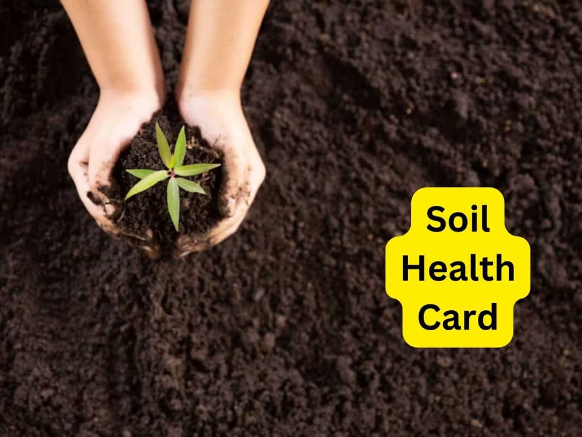 सॉयल हेल्थ कार्ड पोर्टल से किसान जान सकते हैं अपने खेत की मिट्टी की सेहत, आमदनी बढ़ाने में मिलेगी मदद