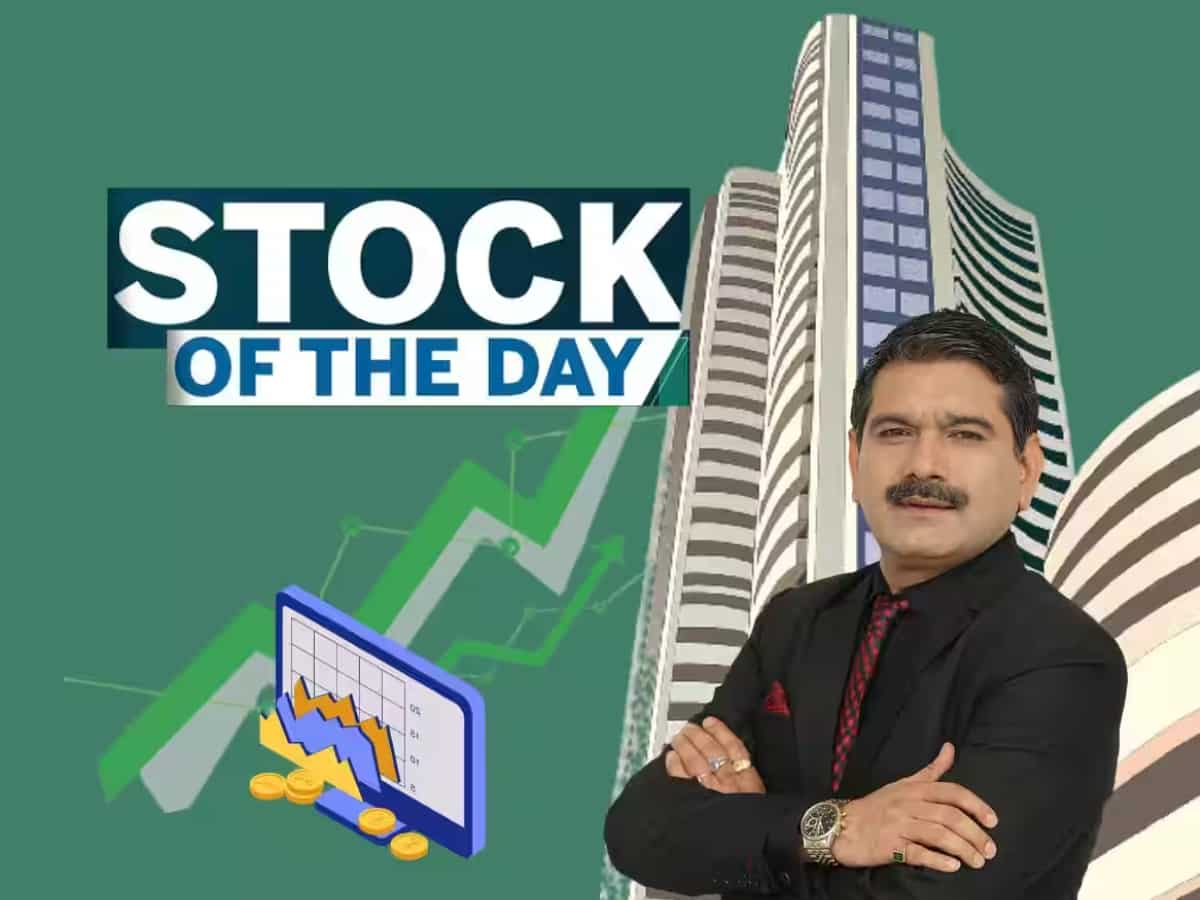 Maharatna PSU Stock पर अनिल सिंघवी ने दी BUY की सलाह, कहा- सरकारी शेयर अट्रैक्टिव; जान लें टारगेट्स 