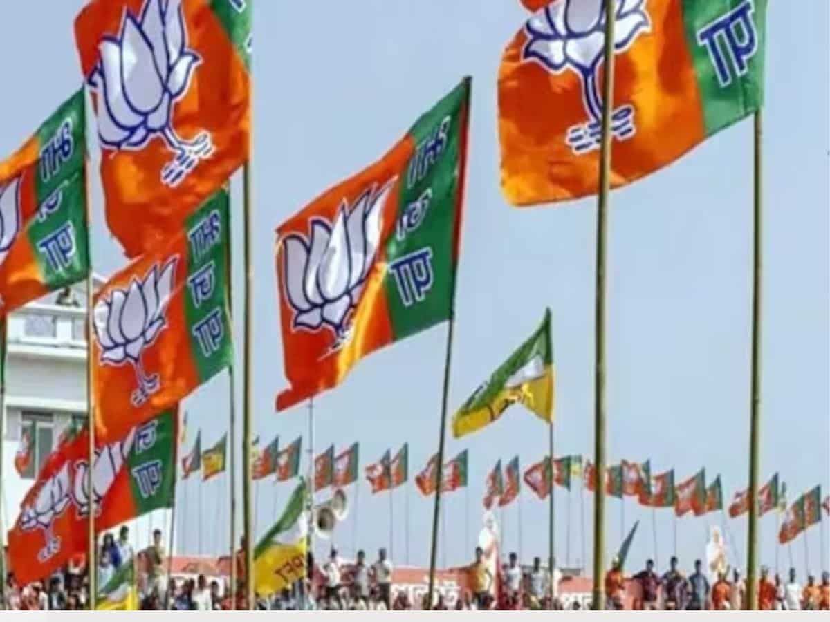 Lok Sabha Election 2024: बीजेपी ने किया इन 3 राज्‍यों के चुनाव प्रभारी के नाम का ऐलान