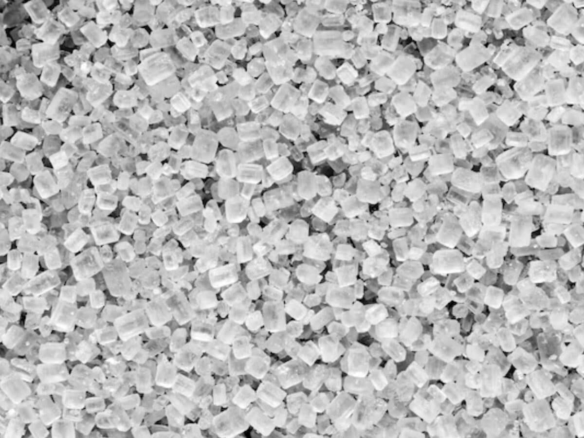 'सरकारी की नीतियों से चीनी की कीमतें स्थिर, किसानों को समय पर मिल रहा भुगतान'