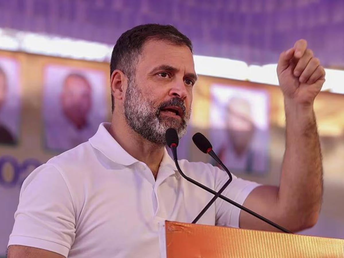 Rahul Gandhi के पोर्टफोलियो में हैं ये 25 शेयर, सात Mutual Funds में भी किया है निवेश, देखें लिस्ट | Zee Business Hindi