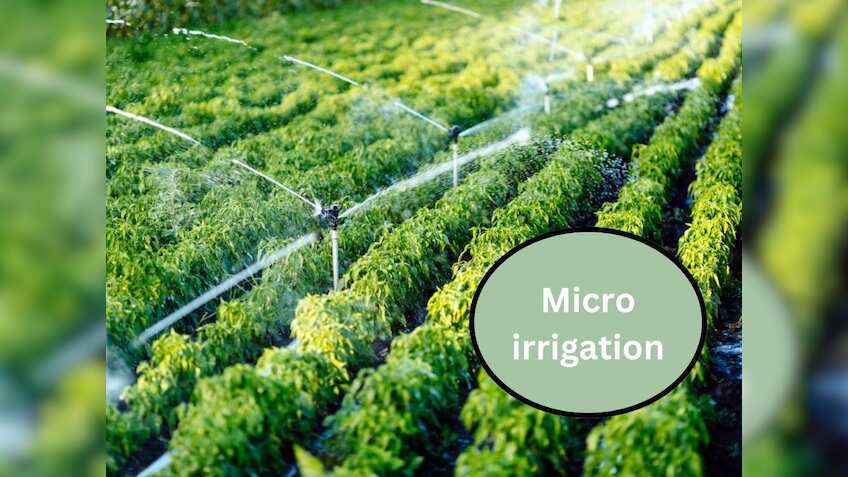 महिंद्रा ग्रुप की Agri Company को मिला बड़ा ऑर्डर, 6 दिनों से लगातार तेजी; स्टॉक पर रखें नजर