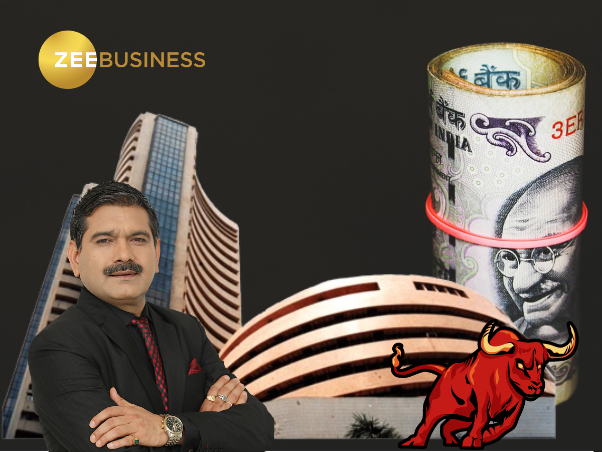 तेजी के लिए तैयार हैं ये 2 दमदार शेयर, अनिल सिंघवी ने जताया भरोसा, नोट कर लें टारगेट और स्टॉपलॉस