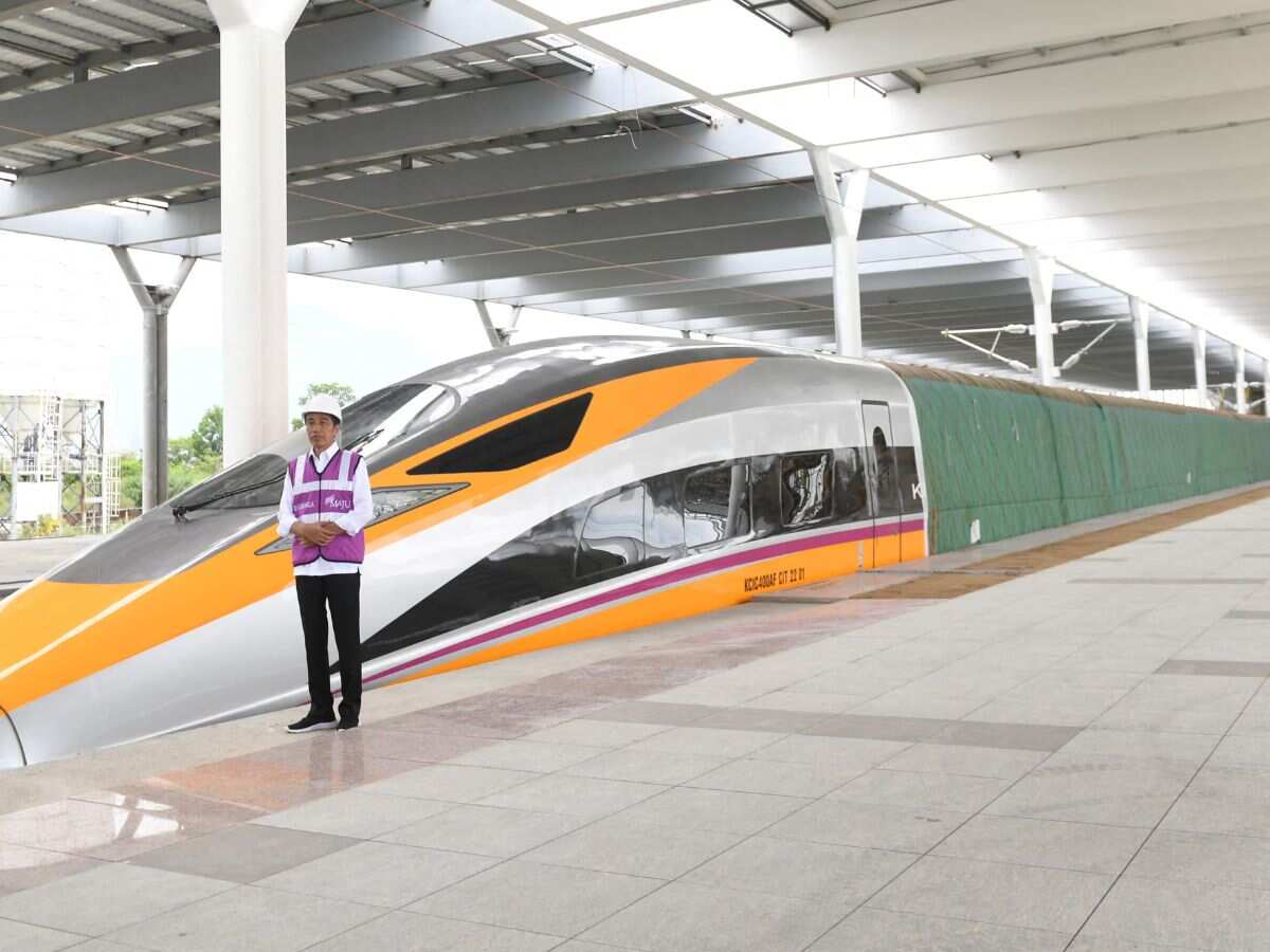 बंद होने की कगार पर थी जापान की Bullet Train, इस पक्षी ने बदल डाली किस्मत, भारत में भी इस तकनीक का होगा इस्तेमाल