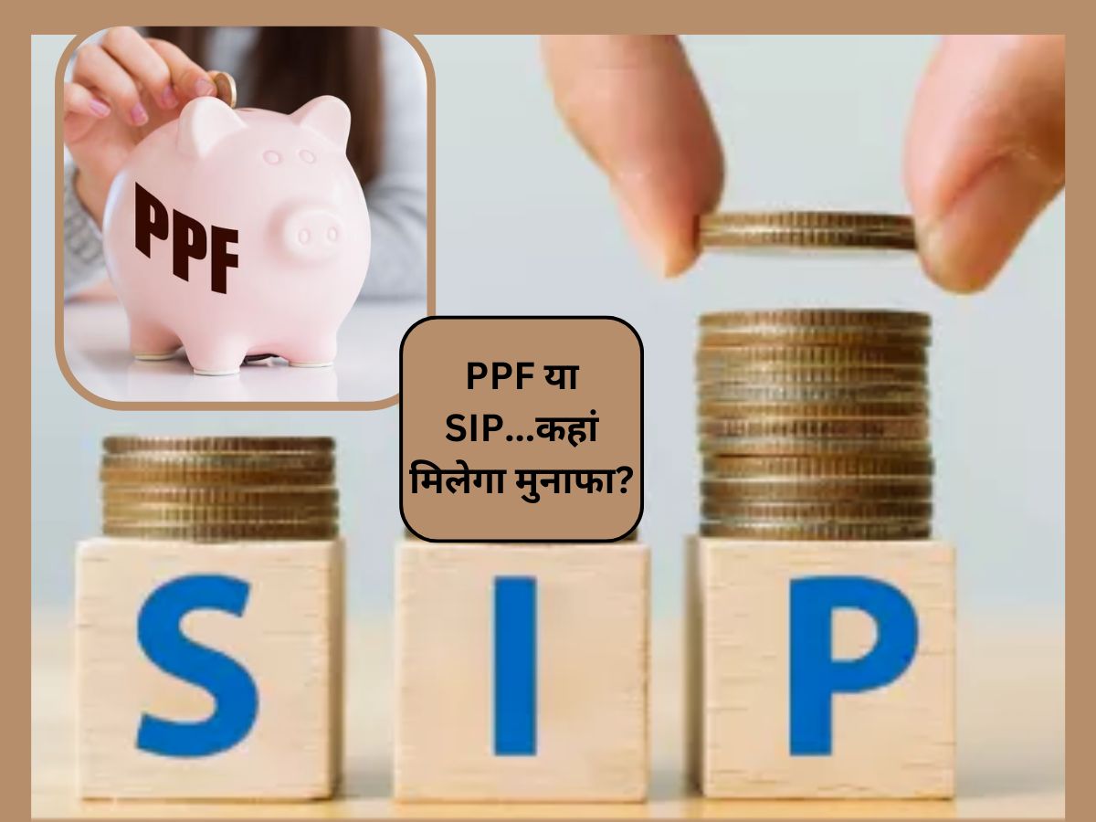 PPF Vs SIP: गारंटीड कमाई वाली PPF या मार्केट लिंक्ड SIP... 15 साल में कौन सी स्कीम बनाएगी मालामाल?