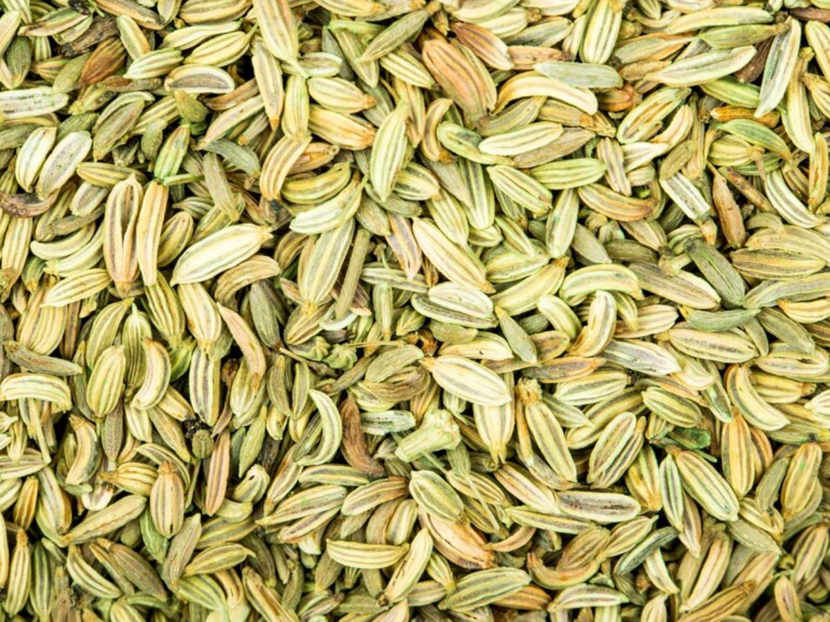 घरों से लेकर बड़े-बड़े होटलों तक इस्तेमाल होता है ये मसाला, खेती बना देगी मालामाल, जानिए उन्नत किस्में