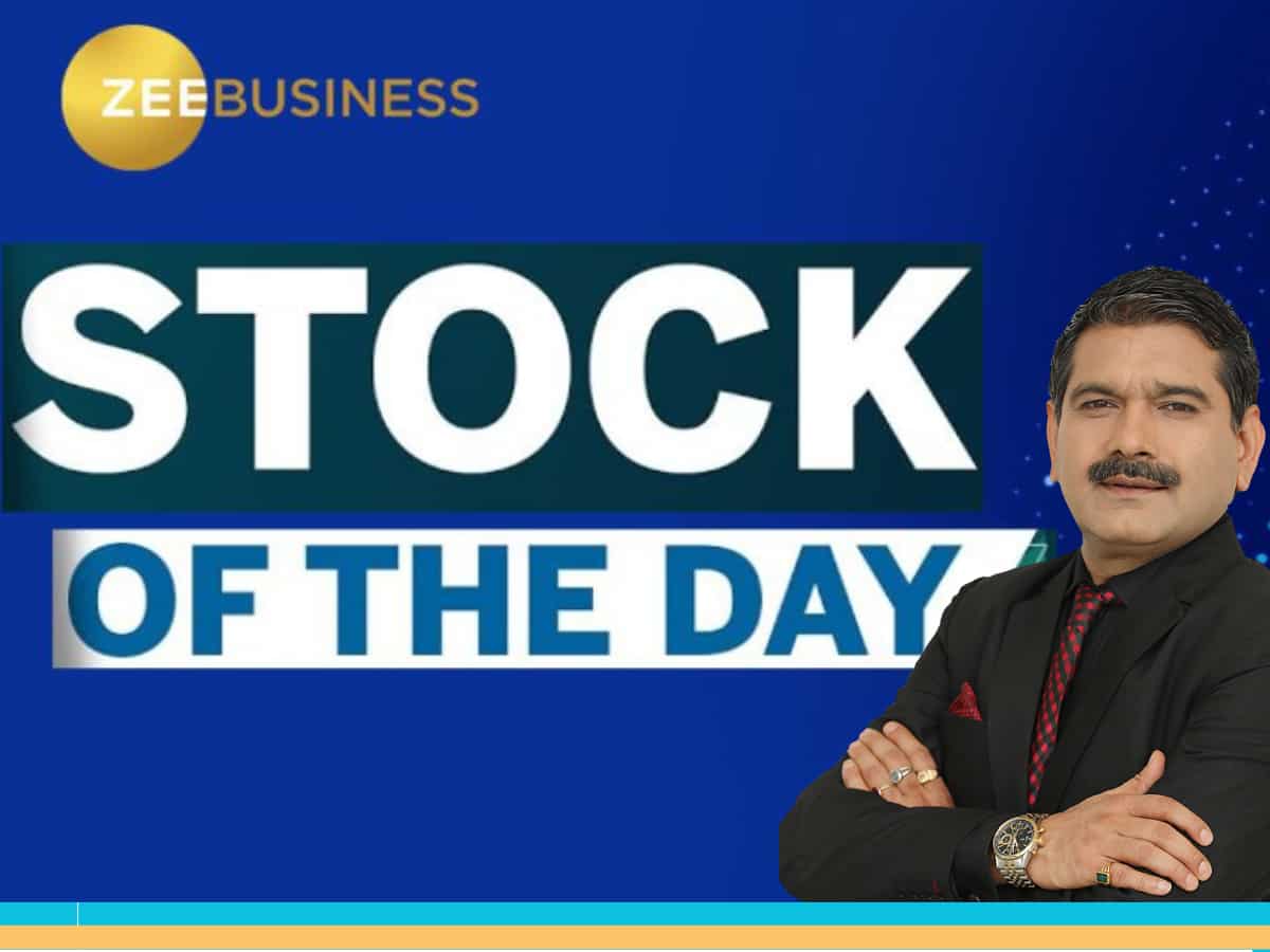 कमजोर बाजार में ट्रेड के लिए 2 शेयर, जानें अनिल सिंघवी की स्टॉक स्ट्रैटेजी, TCS पर भी दी राय