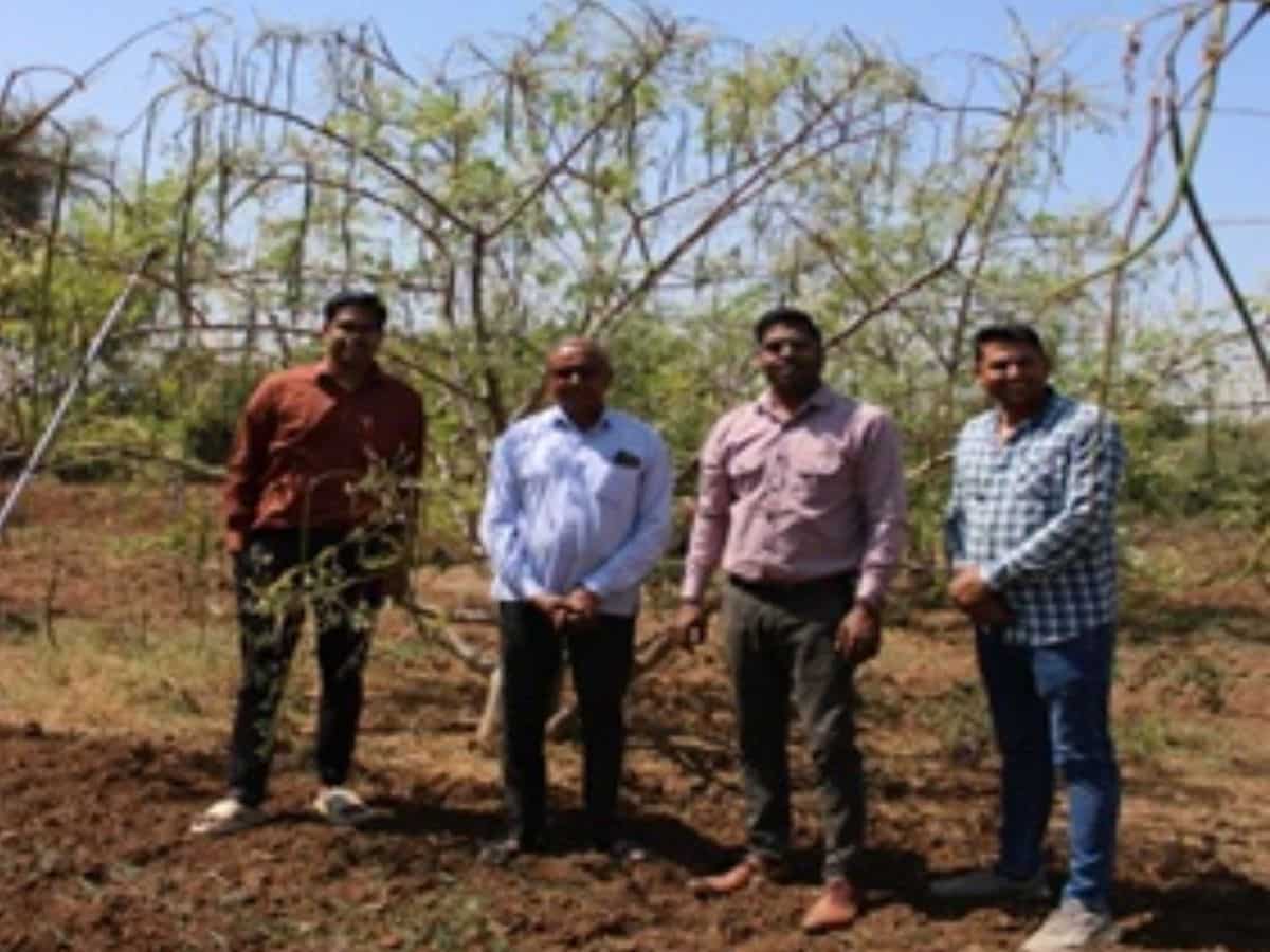 Success Story: सहजन की खेती ने गुजरात के किसान को बनाया मालामाल, सालाना ₹20 लाख की कमाई