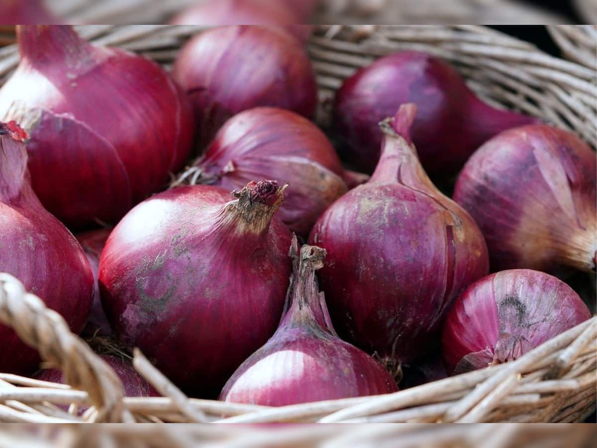Onion Export: श्रीलंका और UAE को प्याज एक्सपोर्ट करेगा भारत, 10,000 मीट्रिक टन निर्यात की मंजूरी