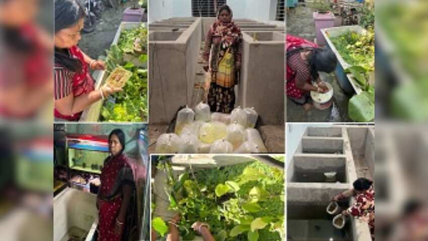 सरकारी मदद से शुरू की ऑर्नामेंटल फिश फार्म, अब हो रही लाखों में कमाई, जानिए सफलता की कहानी