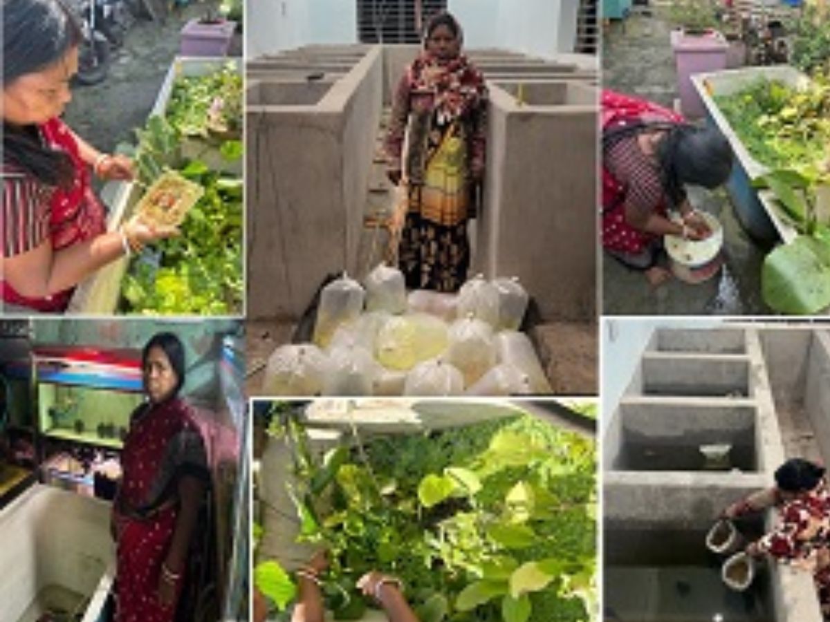 सरकारी मदद से शुरू की ऑर्नामेंटल फिश फार्म, अब हो रही लाखों में कमाई, जानिए सफलता की कहानी