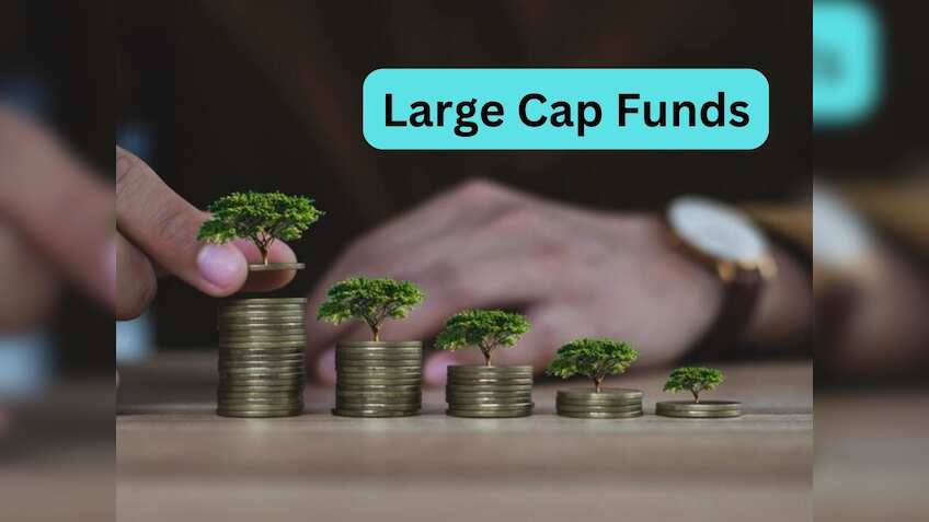 मिडकैप और स्मॉलकैप की जगह Large Cap Funds पर फोकस करें निवेशक, 1 साल में 45% तक रिटर्न