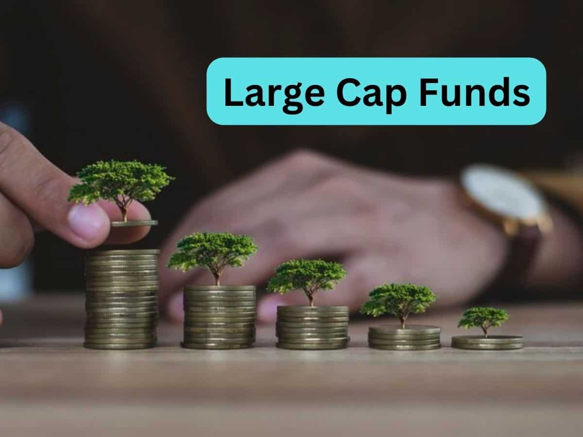 मिडकैप और स्मॉलकैप की जगह Large Cap Funds पर फोकस करें निवेशक, 1 साल में 45% तक रिटर्न