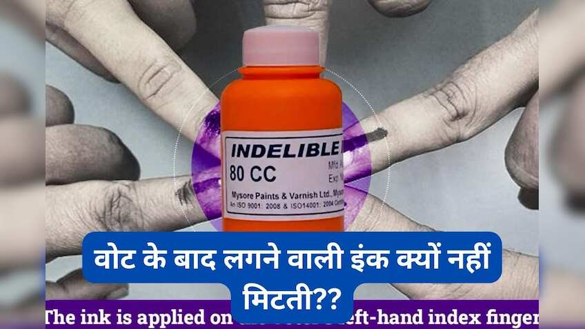 मतदान की स्याही क्यों नहीं मिटती, कभी सोचा है? जान लें वोटिंग के दौरान नाखून पर लगने वाली स्याही का इतिहास