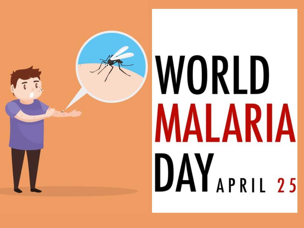 World Malaria Day 2024: क्‍यों मनाते हैं विश्‍व मलेरिया दिवस, जानें इस बीमारी के लक्षण और बचाव के तरीके