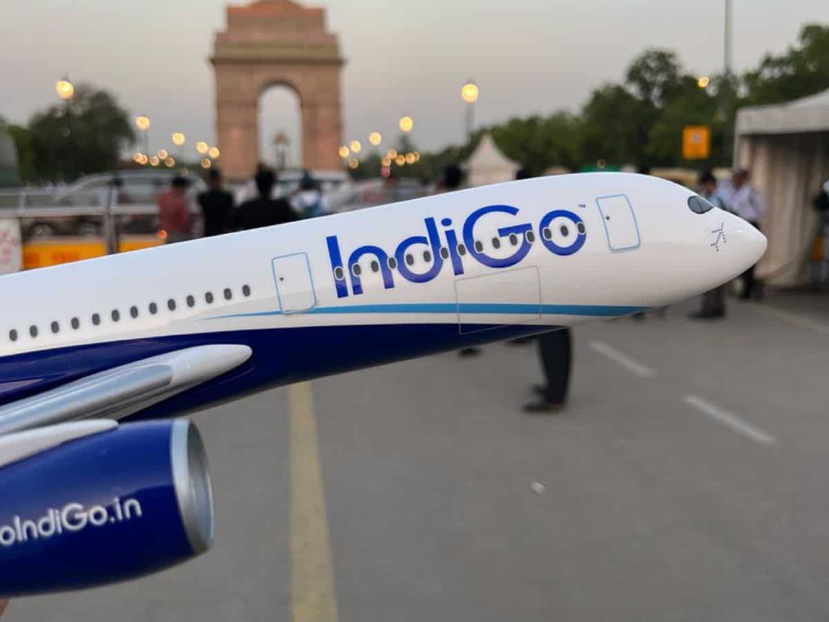 IndiGo ने फैलाए आसमान में अपने पंख! Airbus को दिया 30 A350-900 विमानों का ऑर्डर, 2027 में मिलेगी डिलीवरी