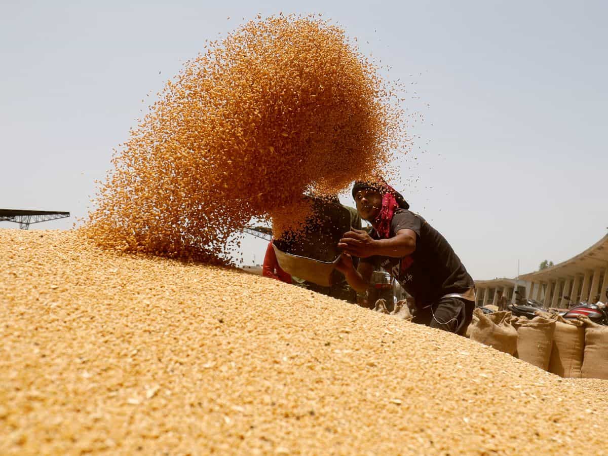 Wheat Procurement: गेहूं की सरकारी खरीद 11% कम, अब तक 196 लाख टन खरीदा