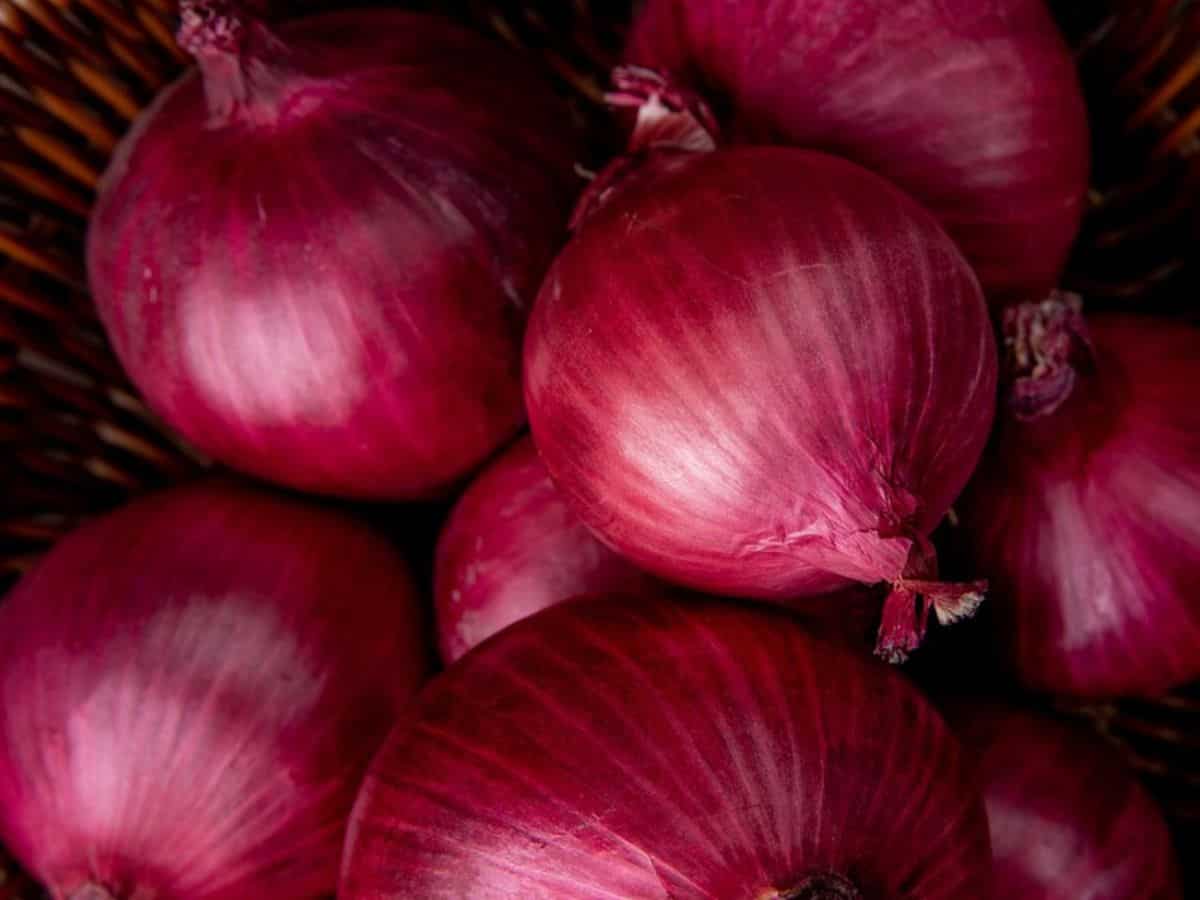 Onion Export: लोकसभा चुनावों के बीच मोदी सरकार का बड़ा फैसला, प्याज के एक्सपोर्ट से बैन हटाया