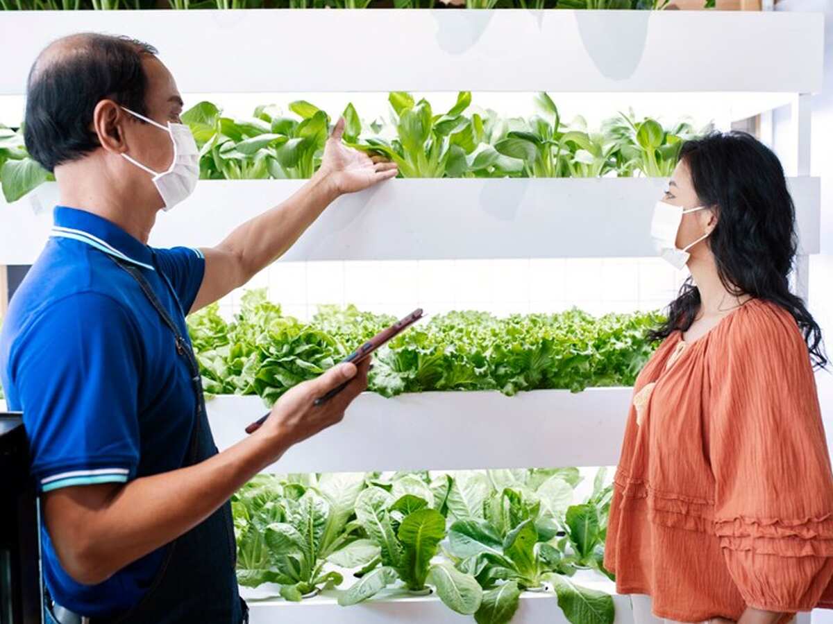 9 साल में करीब 140 गुना बढ़ी Agritech Startups की संख्या, जानिए ताजा रिपोर्ट के अनुसार अब कितनी हो गई