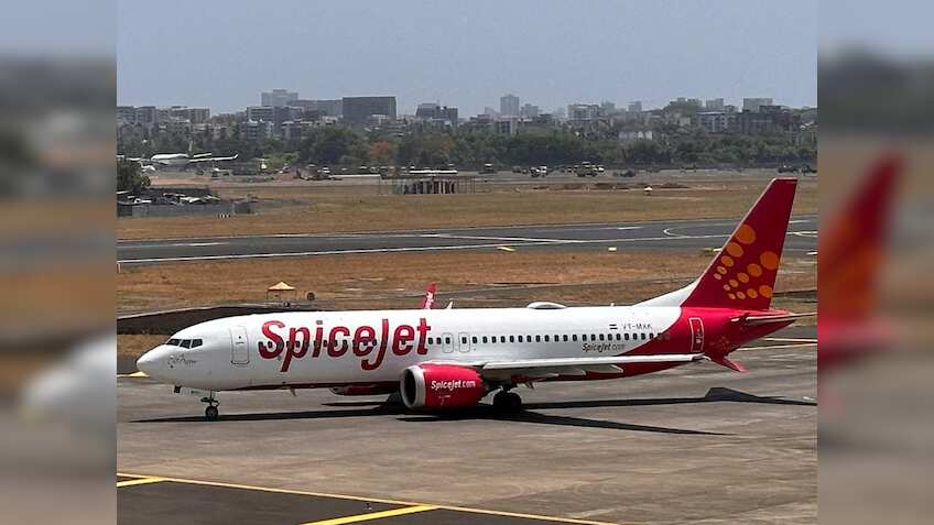 पक्षी से टकराई लेह जाने वाली स्पाइसजेट की फ्लाइट, 135 यात्री थे सवार, दिल्ली में हुई लैंडिंग