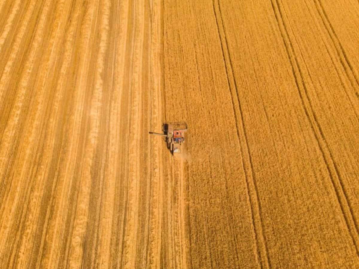 नौतपा की गर्मी खेती किसानी के लिए है वरदान, किसानों को मिलते हैं ये फायदे