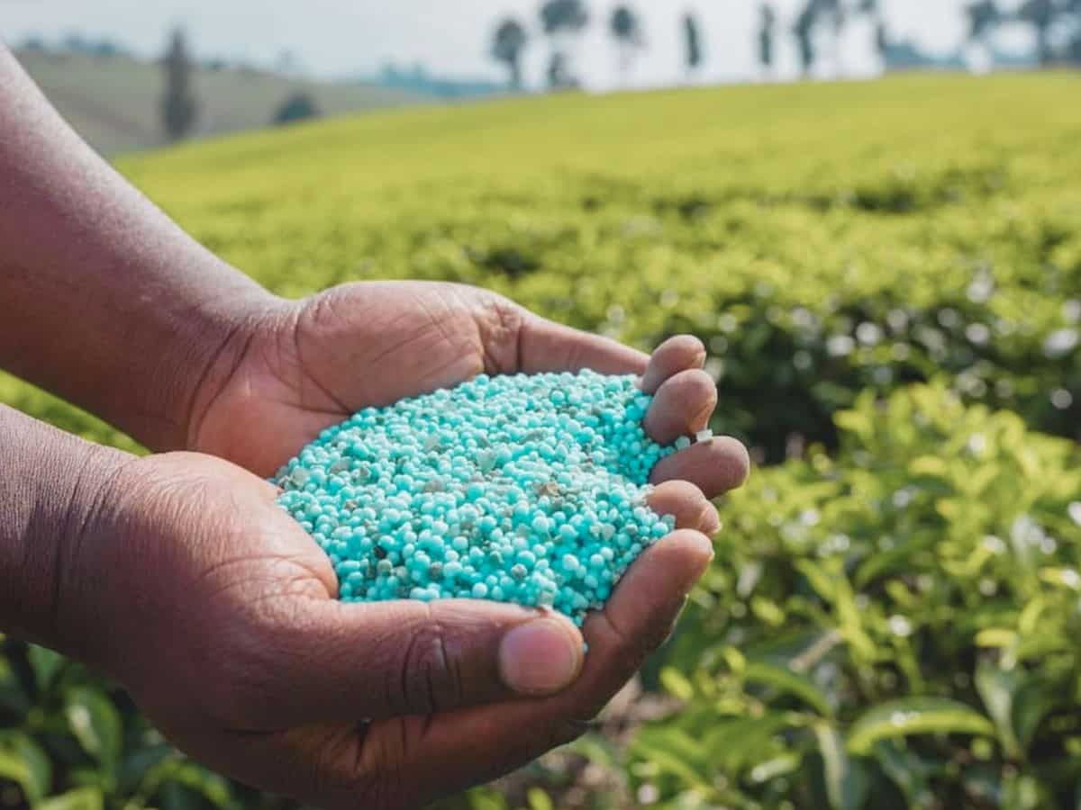 8 साल में ₹1.38 लाख करोड़ की होगी फर्टिलाइजर इंडस्ट्री, निवेशकों को ताबड़तोड़ कमाई कराएंगे ये 5 Stocks
