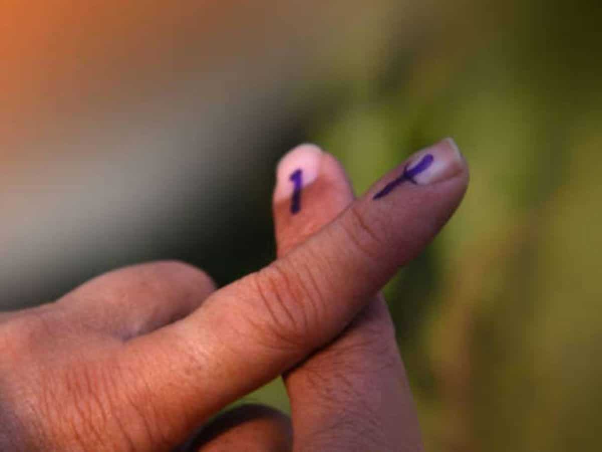 तमिलनाडु में DMK और सहयोगी दल बड़ी जीत की ओर, BJP को 10% से अधिक वोट