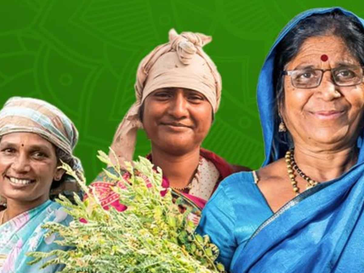 Farmer News: 30 हजार महिला किसानों को बीज मिनिकिट देगी ये सरकार, पूरी करनी होगी ये शर्त