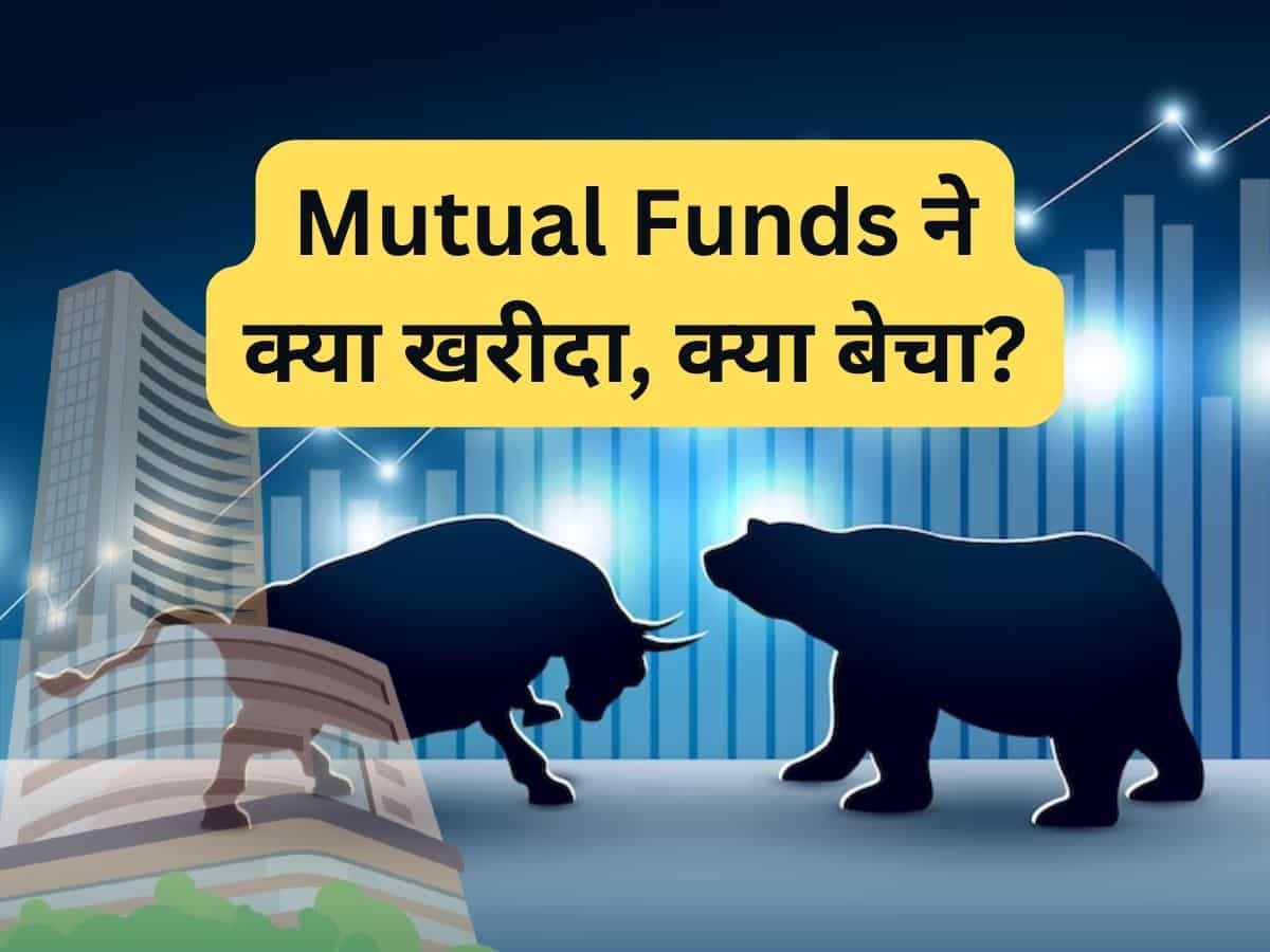 Mutual Funds ने मई में इन Large caps में की ताबड़तोड़ खरीदारी, इन शेयरों से बनाई दूरी 