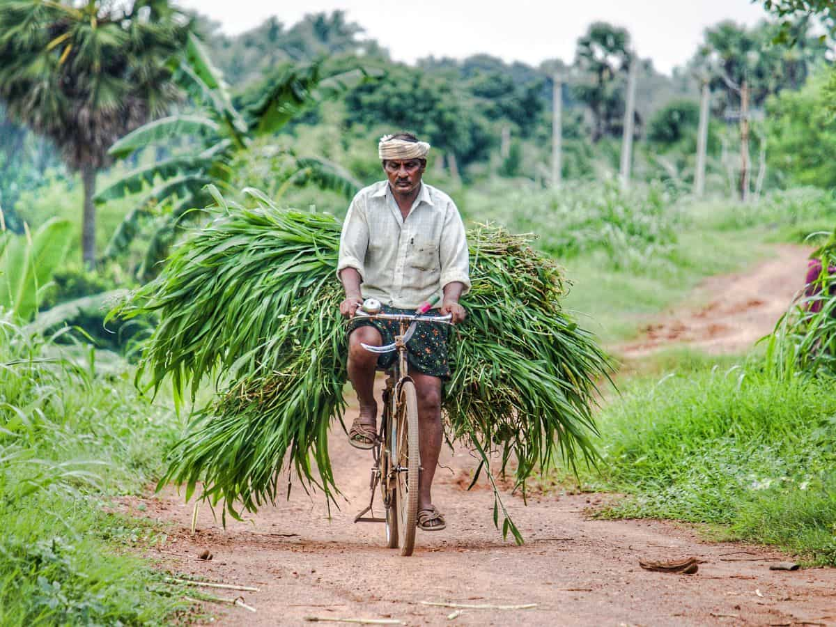 PM Kisan की 17वीं किस्त का इंतजार खत्म, 9.3 करोड़ किसानों के खातों में इस दिन आ जाएंगे पैसे