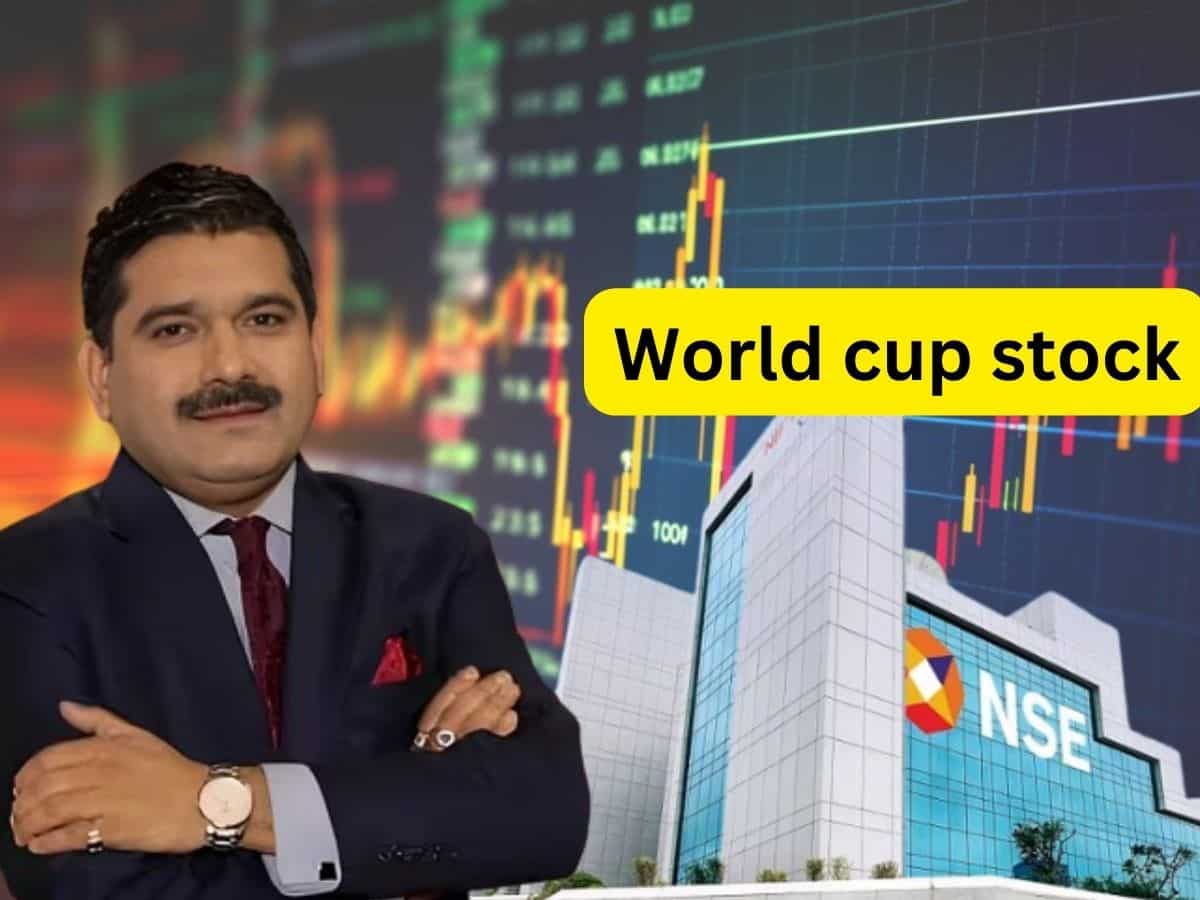 Anil Singhvi ने इन दो Power PSU Stocks को बनाया World cup stock, खरीदें; 1-3 साल में कराएंगे तगड़ी कमाई 